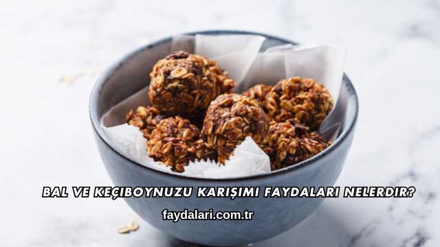 Bal ve Keçiboynuzu Karışımı Faydaları Nelerdir?