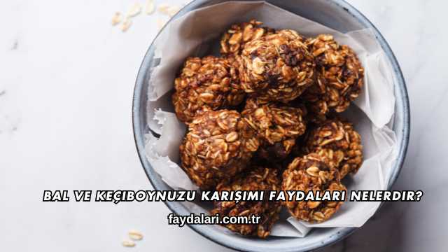 Bal ve Keçiboynuzu Karışımı Faydaları Nelerdir?