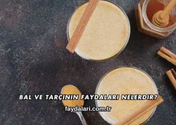 Bal ve Tarçının Faydaları Nelerdir?