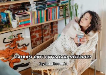 Balbaşı Çayı Faydaları Nelerdir?