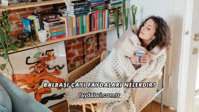 Balbaşı Çayı Faydaları Nelerdir?