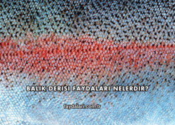 Balık Derisi Faydaları Nelerdir?