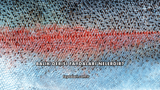 Balık Derisi Faydaları Nelerdir?