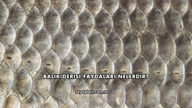 Balık Derisi Faydaları Nelerdir?