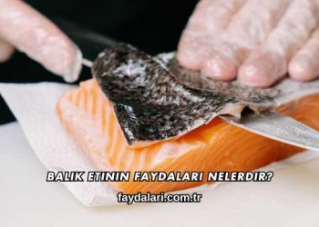 Balık Etinin Faydaları Nelerdir?