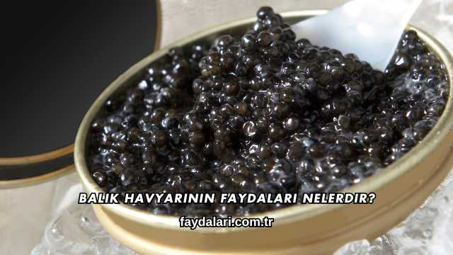 Balık Havyarının Faydaları Nelerdir?