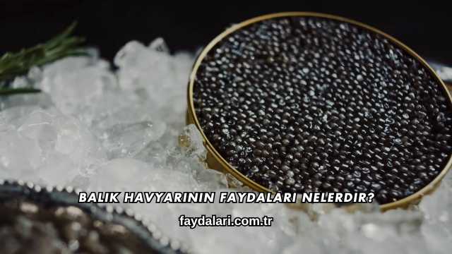 Balık Havyarının Faydaları Nelerdir?