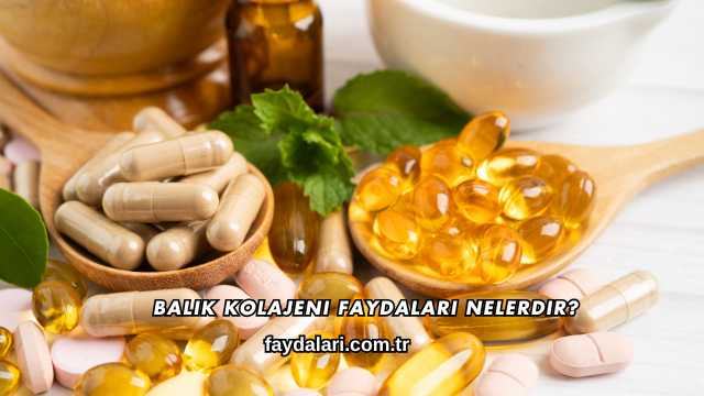 Balık Kolajeni Faydaları Nelerdir?