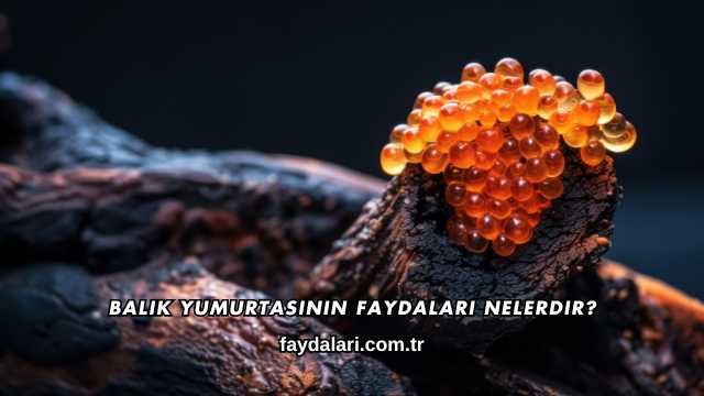 Balık Yumurtasının Faydaları Nelerdir?