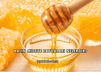 Balın Mideye Faydaları Nelerdir?