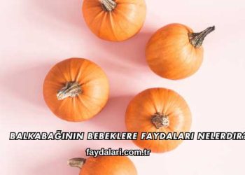 Balkabağının Bebeğe Faydaları Nelerdir?