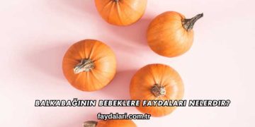 Balkabağının Bebeğe Faydaları Nelerdir?