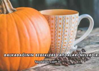 Balkabağının Bebeklere Faydaları Nelerdir?