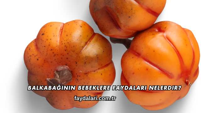 Balkabağının Bebeğe Faydaları Nelerdir?