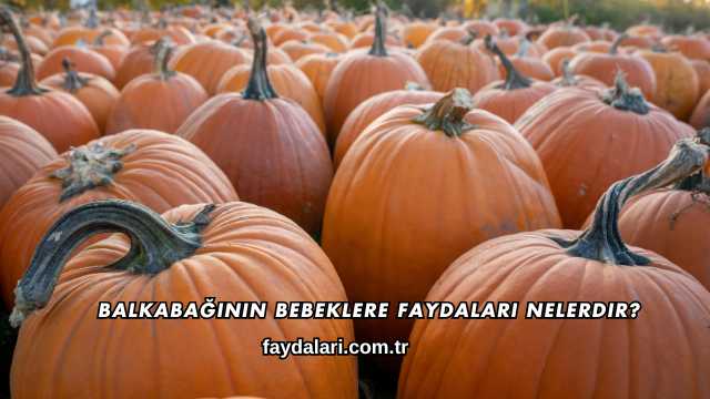 Balkabağının Bebeklere Faydaları Nelerdir?