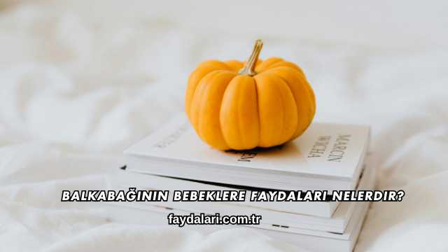 Balkabağının Bebeğe Faydaları Nelerdir?