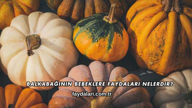 Balkabağının Bebeklere Faydaları Nelerdir?