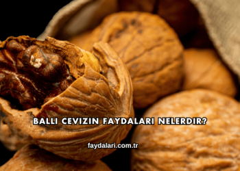 Ballı Cevizin Faydaları Nelerdir?