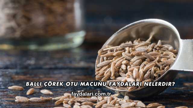 Ballı Çörek Otu Macunu Faydaları Nelerdir?