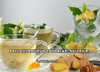 Ballı Ihlamurun Faydaları Nelerdir?