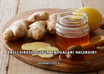 Ballı Sirkeli Suyun Faydaları Nelerdir?
