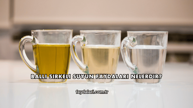 Ballı Sirkeli Suyun Faydaları Nelerdir?
