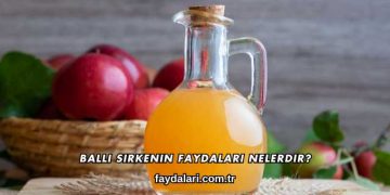Ballı Sirkenin Faydaları Nelerdir?