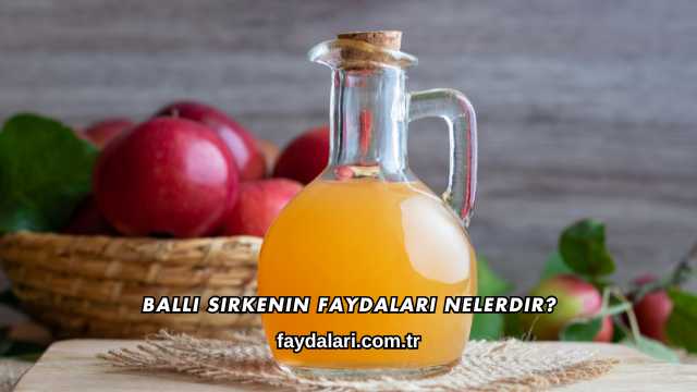 Ballı Sirkenin Faydaları Nelerdir?