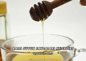 Ballı Suyun Faydaları Nelerdir?