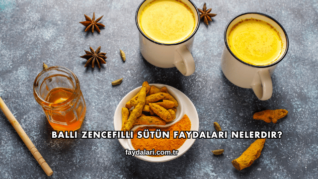Ballı Zencefilli Sütün Faydaları Nelerdir?