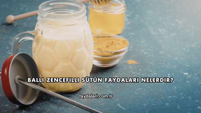 Ballı Zencefilli Sütün Faydaları Nelerdir?