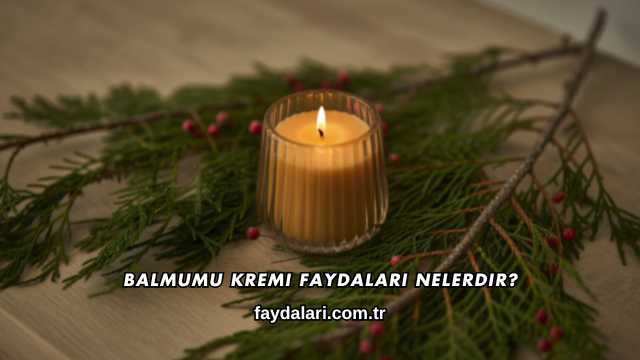 Balmumu Kremi Faydaları Nelerdir?