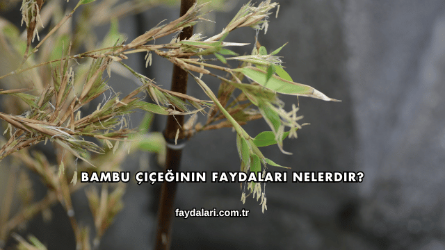 Bambu Çiçeğinin Faydaları Nelerdir?