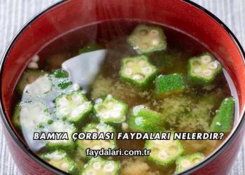 Bamya Çorbası Faydaları Nelerdir?