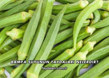 Bamya Suyunun Faydaları Nelerdir?