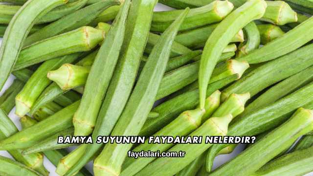 Bamya Suyunun Faydaları Nelerdir?