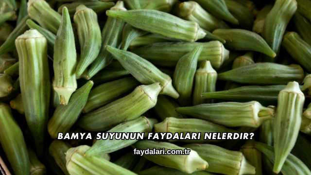Bamya Suyunun Faydaları Nelerdir?
