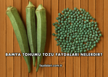 Bamya Tohumu Tozu Faydaları Nelerdir?