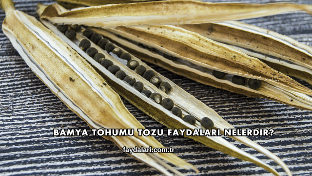 Bamya Tohumu Tozu Faydaları Nelerdir?