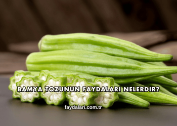 Bamya Tozunun Faydaları Nelerdir?