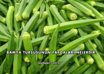 Bamya Turşusunun Faydaları Nelerdir?