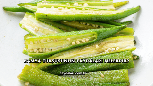 Bamya Turşusunun Faydaları Nelerdir?