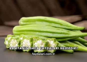 Bamyanın Saça Faydaları Nelerdir?
