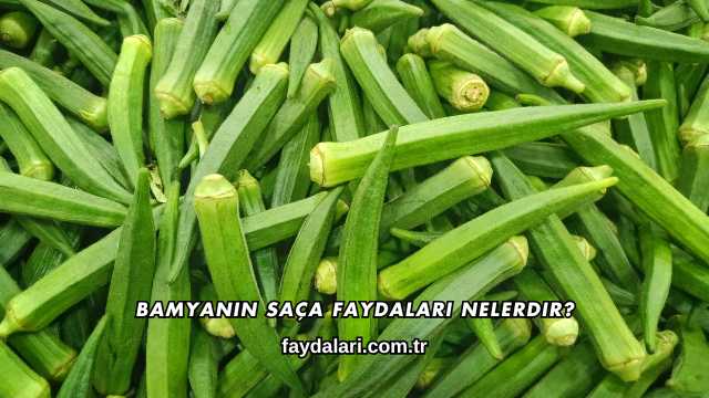 Bamyanın Saça Faydaları Nelerdir?