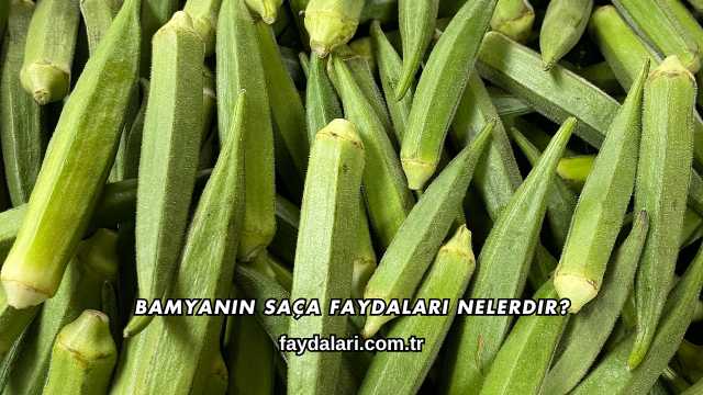 Bamyanın Saça Faydaları Nelerdir?