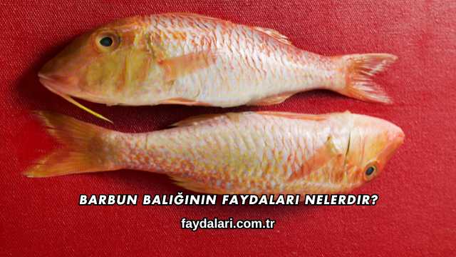 Barbun Balığının Faydaları Nelerdir?