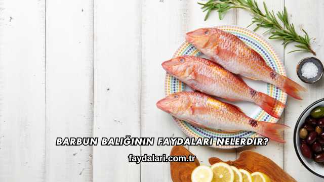 Barbun Balığının Faydaları Nelerdir?