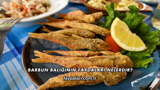 Barbun Balığının Faydaları Nelerdir?