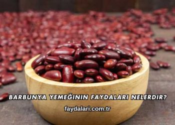 Barbunya Yemeğinin Faydaları Nelerdir?