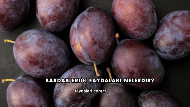 Bardak Eriği Faydaları Nelerdir?
